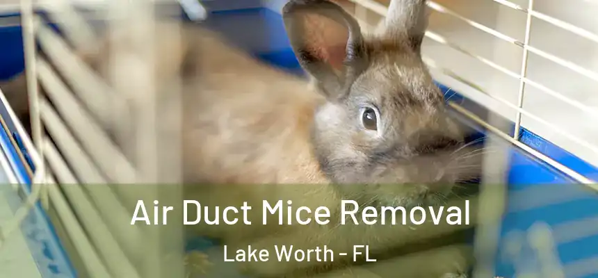 Air Duct Mice Removal Lake Worth - FL