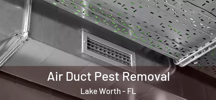 Air Duct Pest Removal Lake Worth - FL