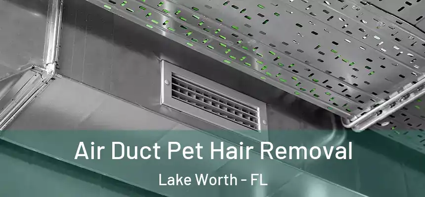 Air Duct Pet Hair Removal Lake Worth - FL