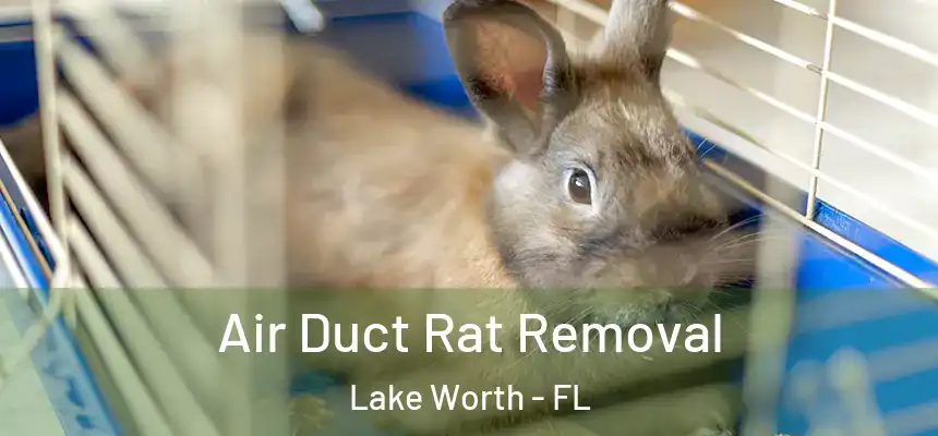  Air Duct Rat Removal Lake Worth - FL