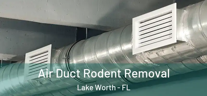 Air Duct Rodent Removal Lake Worth - FL