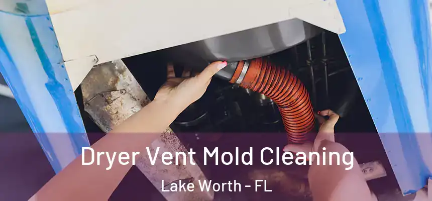 Dryer Vent Mold Cleaning Lake Worth - FL