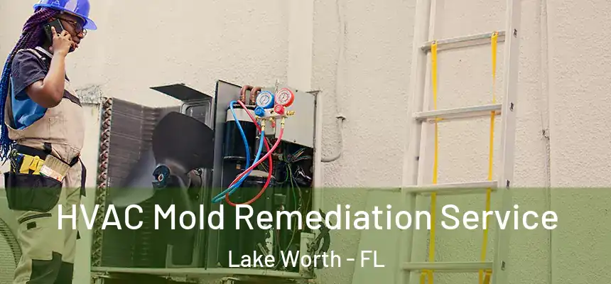 HVAC Mold Remediation Service Lake Worth - FL