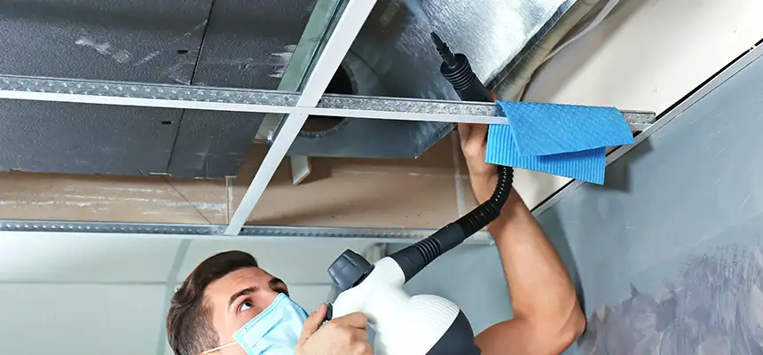Our Air Duct Rodent Removal Services in Lake Worth, FL