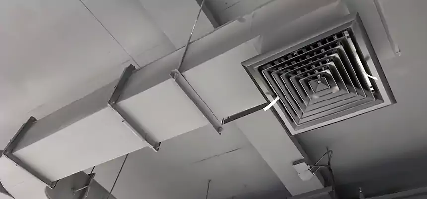 Restorative Allergy Relief Vent Cleaning – Coil, Blower & Housing Detail in Lake Worth