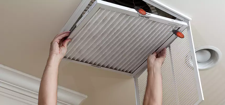 Our Insect Removal from Air Ducts Services in Lake Worth, FL