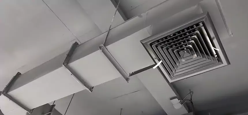 Our Pest Removal From Ducts Services in Lake Worth, FL