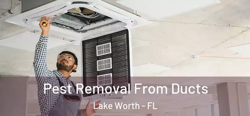 Pest Removal From Ducts Lake Worth - FL