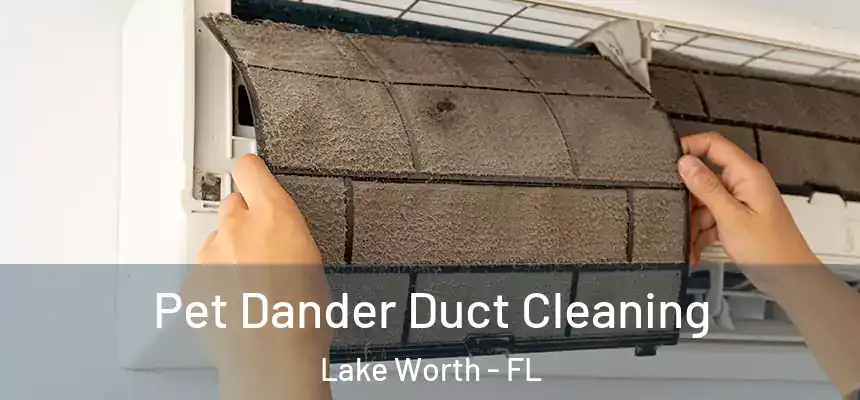 Pet Dander Duct Cleaning Lake Worth - FL