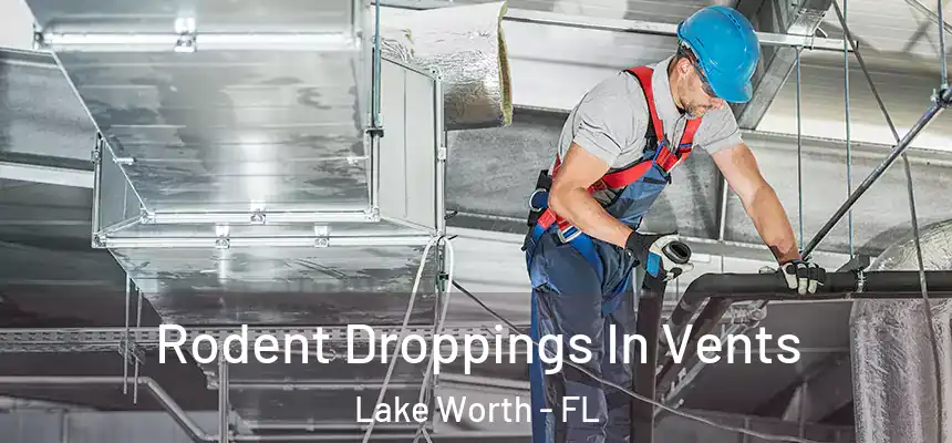 Rodent Droppings In Vents Lake Worth - FL
