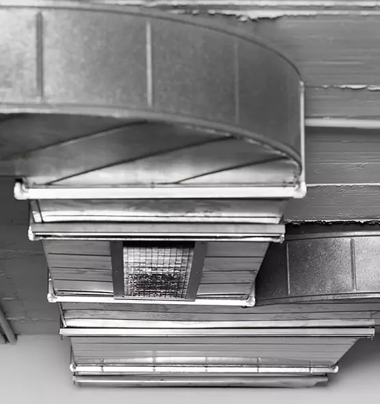 Professional Air Duct Pest Removal in Lake Worth, FL