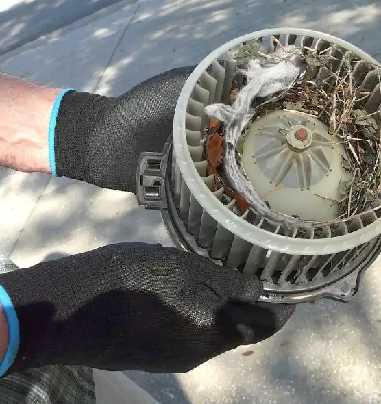 About Air Duct Rat Removal in Lake Worth, FL