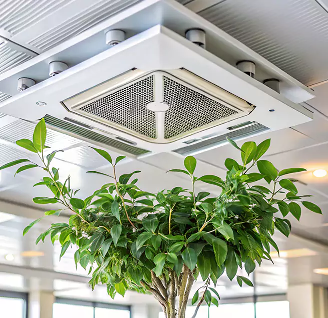 Why Homeowners & Businesses Trust Us in Lake Worth, FL?