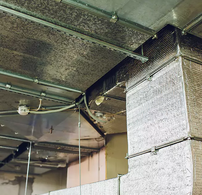 Why Homeowners & Businesses Trust Us in Lake Worth, FL?